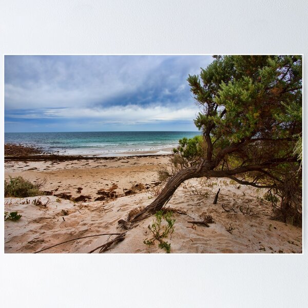 Item preview, Stokes Bay Kangaroo Island designed and sold by Anne Christie.
