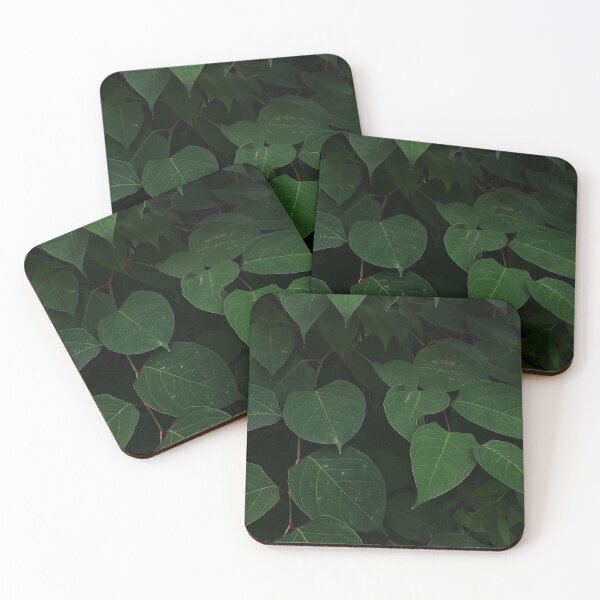 Item preview, Luscious Leafy Print designed and sold by Candace Offman.