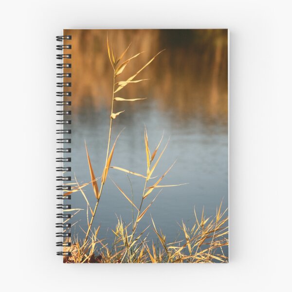 Artikelvorschau, Canal grasses close up  entworfen und verkauft von Paul Pasco.
