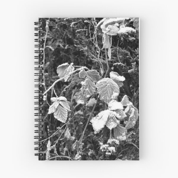 Item preview, Growing Up designed and sold by JuiceBox-Photo.