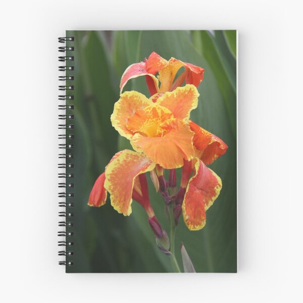Item preview, Canna designed and sold by StaceyH.