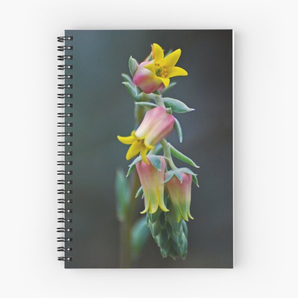 Item preview, Cactus Bloom designed and sold by Rodney55.