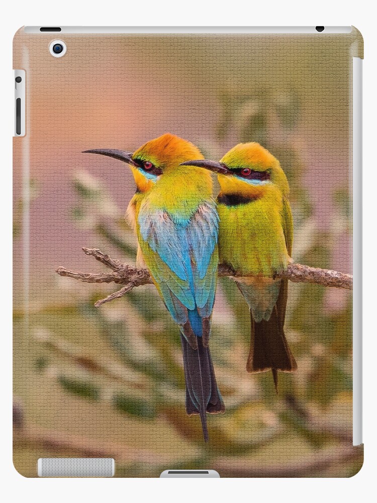 Rainbow Bee Eater Bird Couple Ipad Case Skin By Cschester4