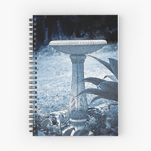 Item preview, Birdbath designed and sold by Steve  Woodman.