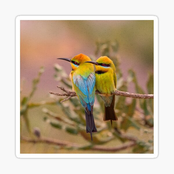 Item preview, Rainbow Bee-eater Bird Couple designed and sold by cschester4.