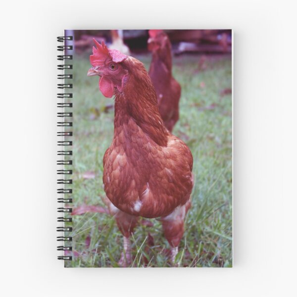 Item preview, Chooks. designed and sold by Adoni.