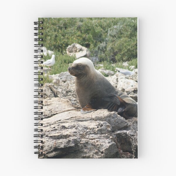 Item preview, Coffin Bay Local Seal designed and sold by wilderness.