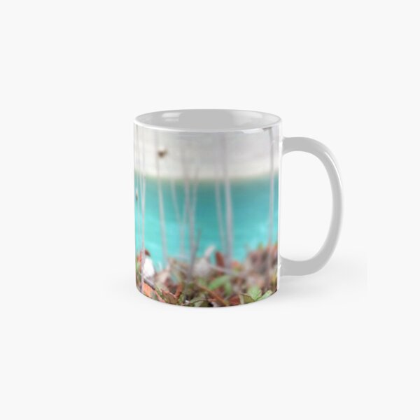 Dried Botanicals by a Mountain Stream Classic Mug