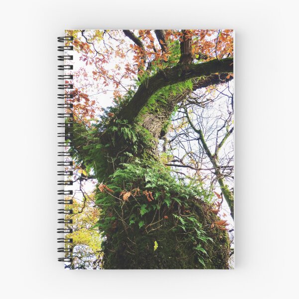 Item preview, Ye Olde Oak Tree! designed and sold by artfulvistas.