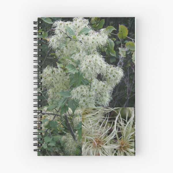 Artikelvorschau, Wild Clematis entworfen und verkauft von LaBud.