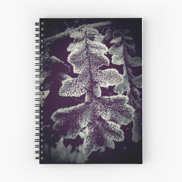 Item preview, Hoar designed and sold by Josephine Pugh.