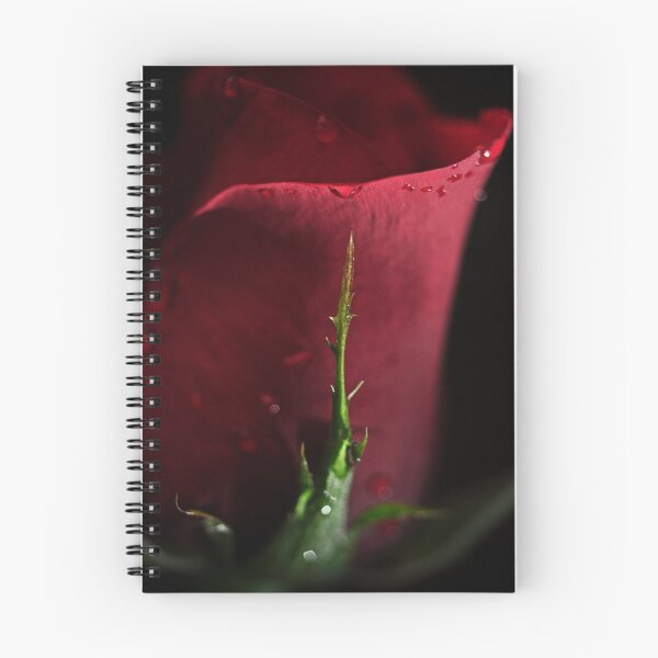 Item preview, Rose 2 designed and sold by sandraalberts.