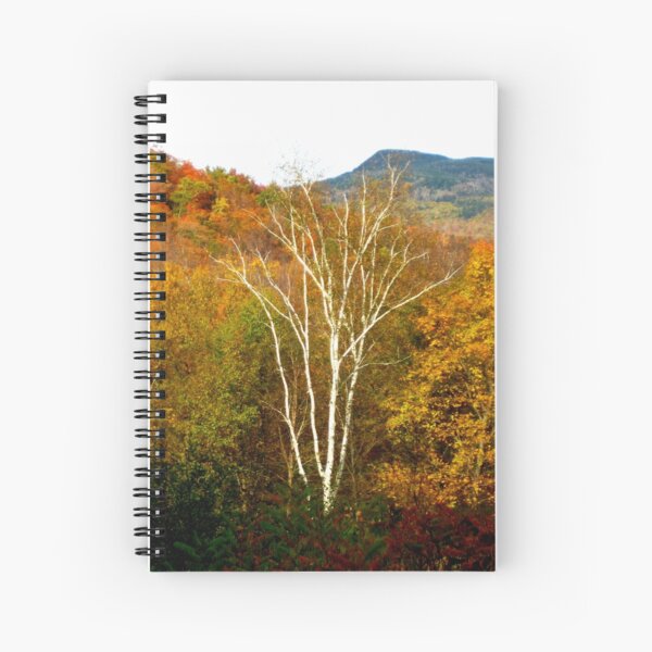 Striking Birch Spiral Notebook