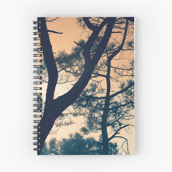 Item preview, Branching - Torrey Pine designed and sold by Caroline Roberti.
