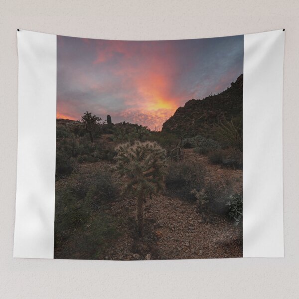 Item preview, Cholla Sunset designed and sold by DawsonImages.