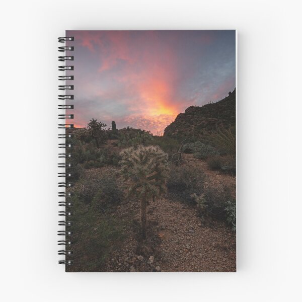 Artikelvorschau, Cholla-Sonnenuntergang entworfen und verkauft von DawsonImages.