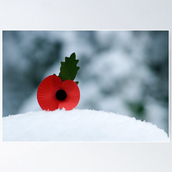 Artikelvorschau, Poppy in the Snow entworfen und verkauft von Ian Elmes.