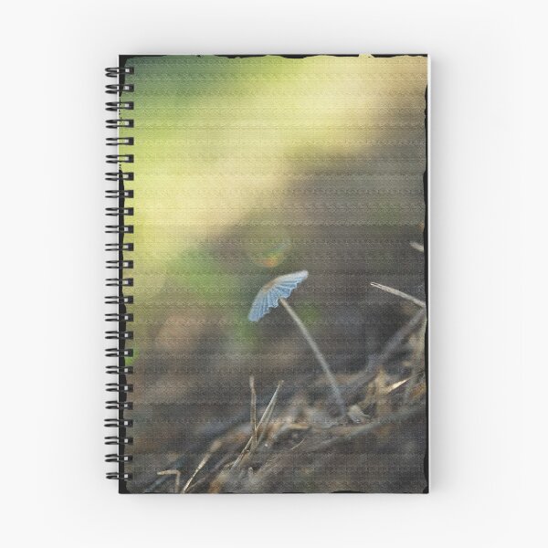 Item preview, Bending to the light designed and sold by Steve Woodman.