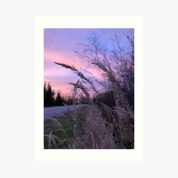 Lavender Sunset Art Print