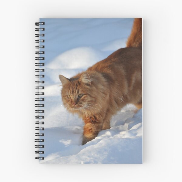 Item preview, Tommy in the Snow designed and sold by ApeArt.