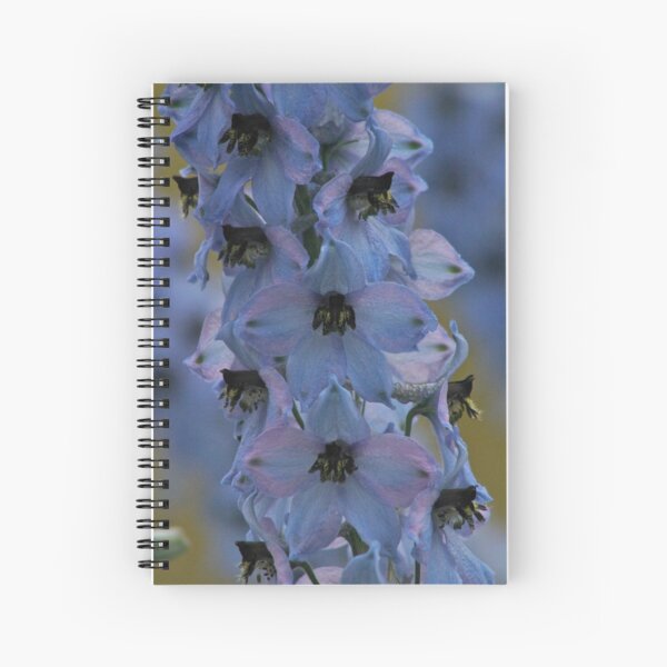 Aperçu de l'œuvre Delphinium . Norway . by Brown Sugar. Views - 297. créée et vendue par © Andrzej Goszcz,M.D. Ph.D.