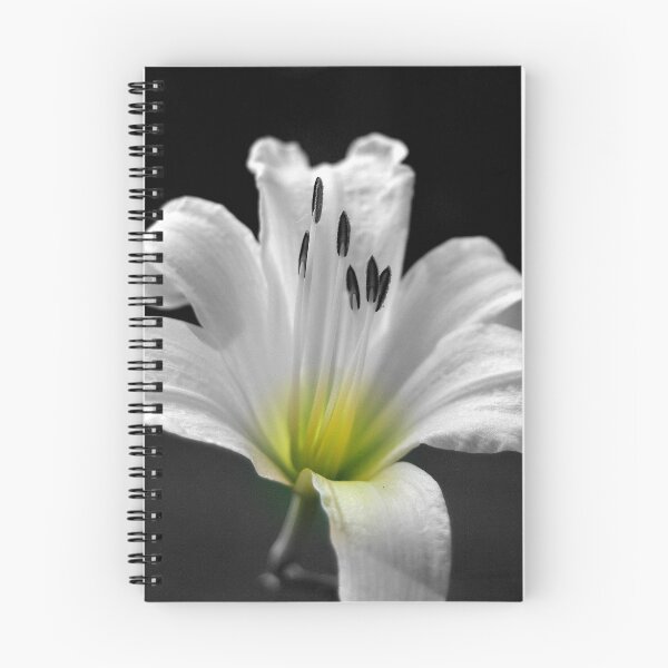 Item preview, Lily in B/W designed and sold by RebeccaBlackman.