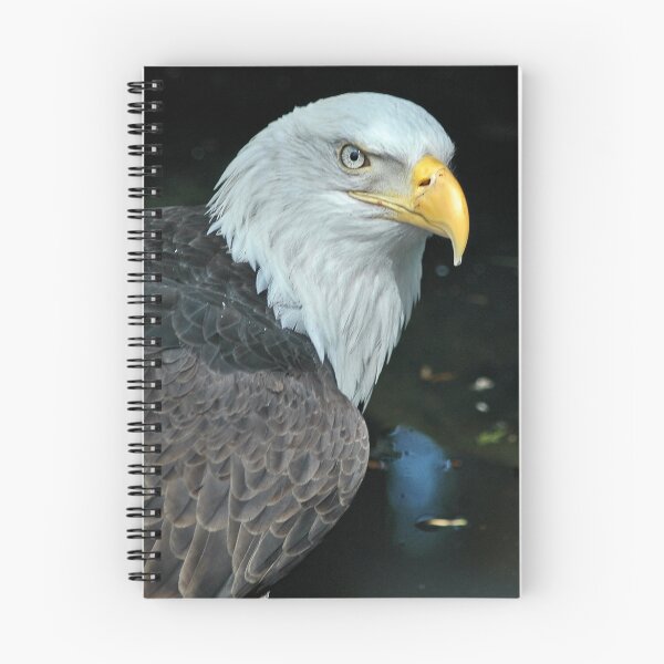 Item preview, Eagle Eye designed and sold by Buzzimage.