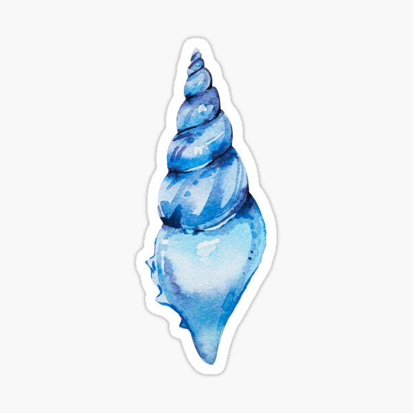 Turquoise Seashell Stickers | Redbubble
