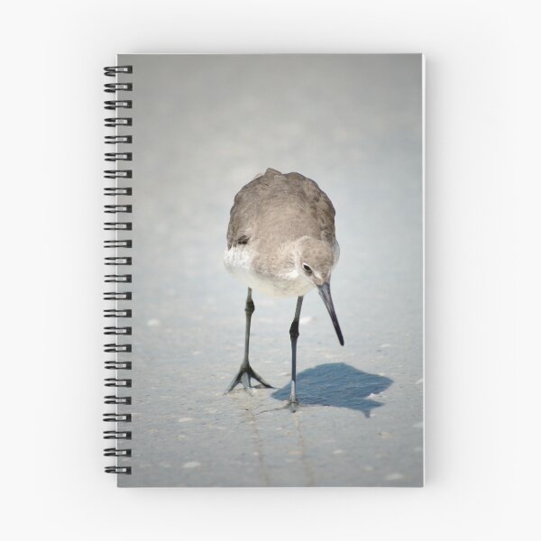 Item preview, Beach Comber designed and sold by Christopher Herrfurth.