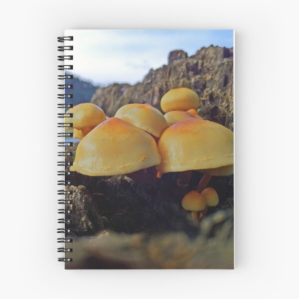 Item preview, Mushroom pile! designed and sold by AmyBuchmeier.
