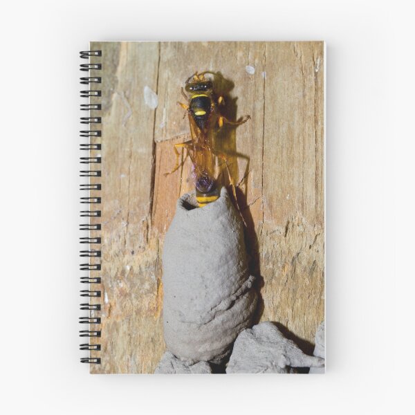Item preview, Potter Wasp designed and sold by Normf.
