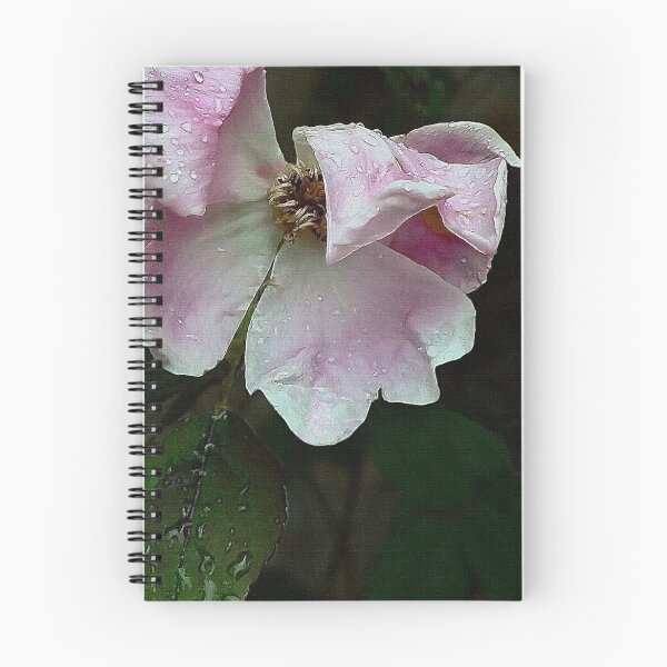 Item preview, Raindrops on Roses designed and sold by paintingsheep.