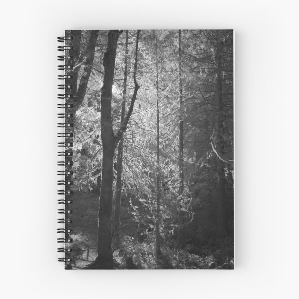 Item preview, Mossy Trees Moulton Falls designed and sold by Isaac Daily.