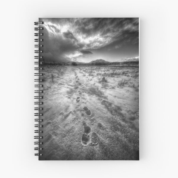 Item preview, Brisk Walk designed and sold by Bob Larson.