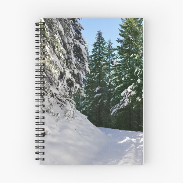 Item preview, first day of the year designed and sold by Jeannie Peters.
