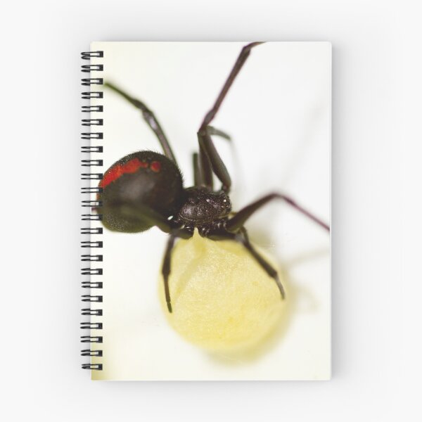 Item preview, Redback designed and sold by Isabella Teng.