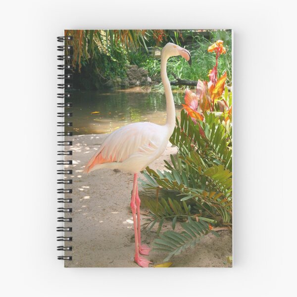 Item preview, Flamingo, Adelaide Zoo designed and sold by Gail Mew.
