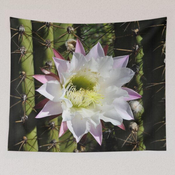 Item preview, white cactus flower Chile designed and sold by Schoensl.