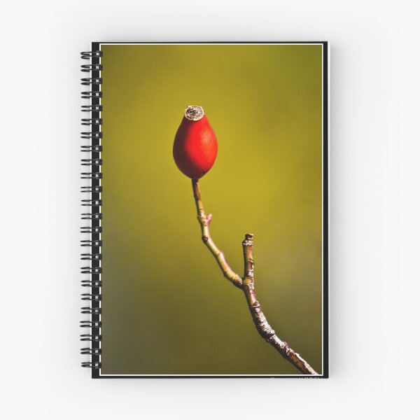 Item preview, Rose Hip designed and sold by Ben Warren.