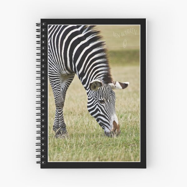 Item preview, Zebra Grazing designed and sold by Ben Warren.