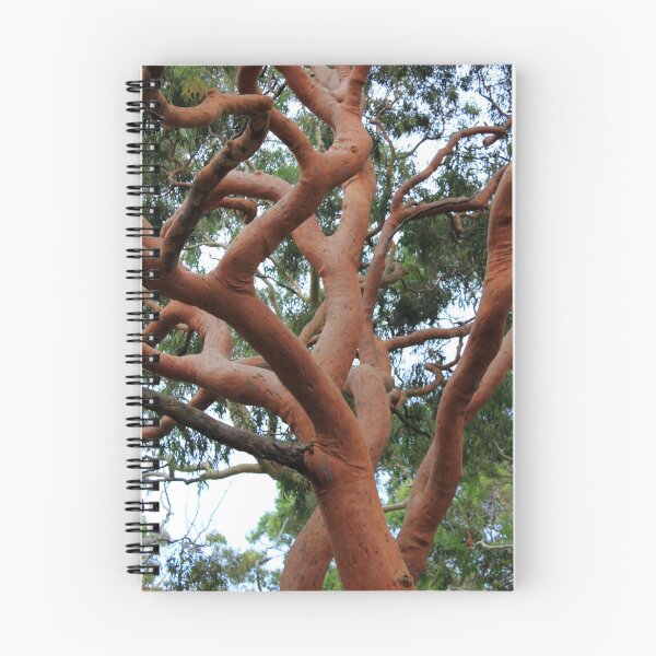 Item preview, Red Gum designed and sold by Tamara Dandy.