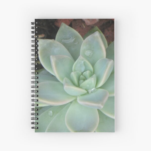 green, green.. verde, verde.. Spiral Notebook