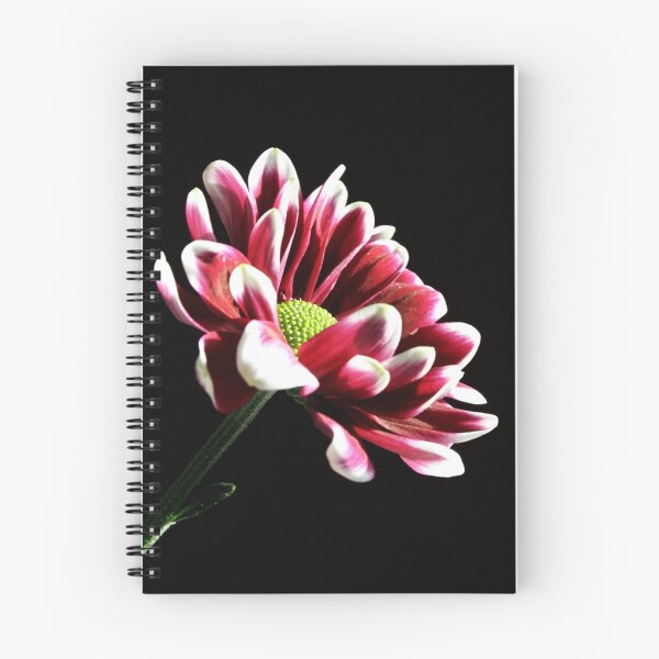 Item preview, Chrysanthemum designed and sold by Doug McRae.