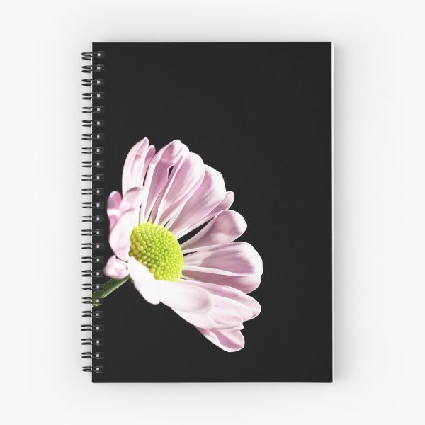 Item preview, Pink Chrysanthemum designed and sold by Doug McRae.