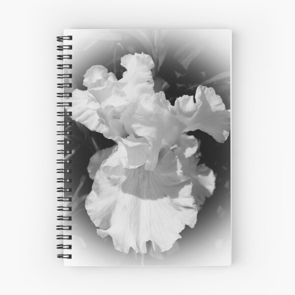 Item preview, Black & White IRIS designed and sold by AnnDixon.