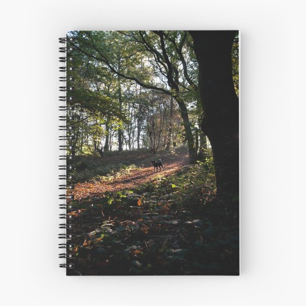 Aperçu de l'œuvre Woodland path- Inkersall Green  créée et vendue par Simon Olewicz.