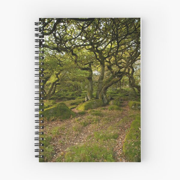 Item preview, Stillness gathers Moss designed and sold by Simon Olewicz.