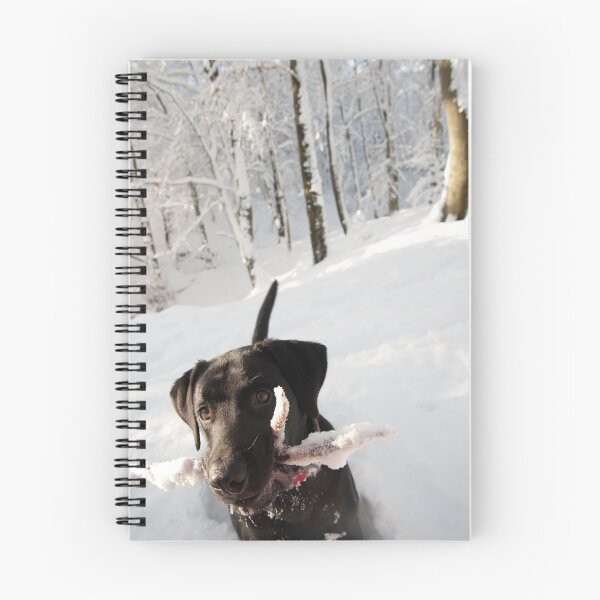 Item preview, Found my stick in the snow designed and sold by Simon Olewicz.