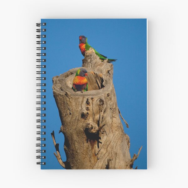 Item preview, Rainbow Lorikeet designed and sold by Stephen Muller.