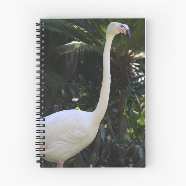 Item preview, Flamingo designed and sold by barnesphotos.